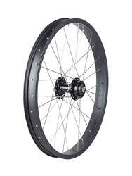 Trek Roscoe Boost 20˝ MTB Wheel