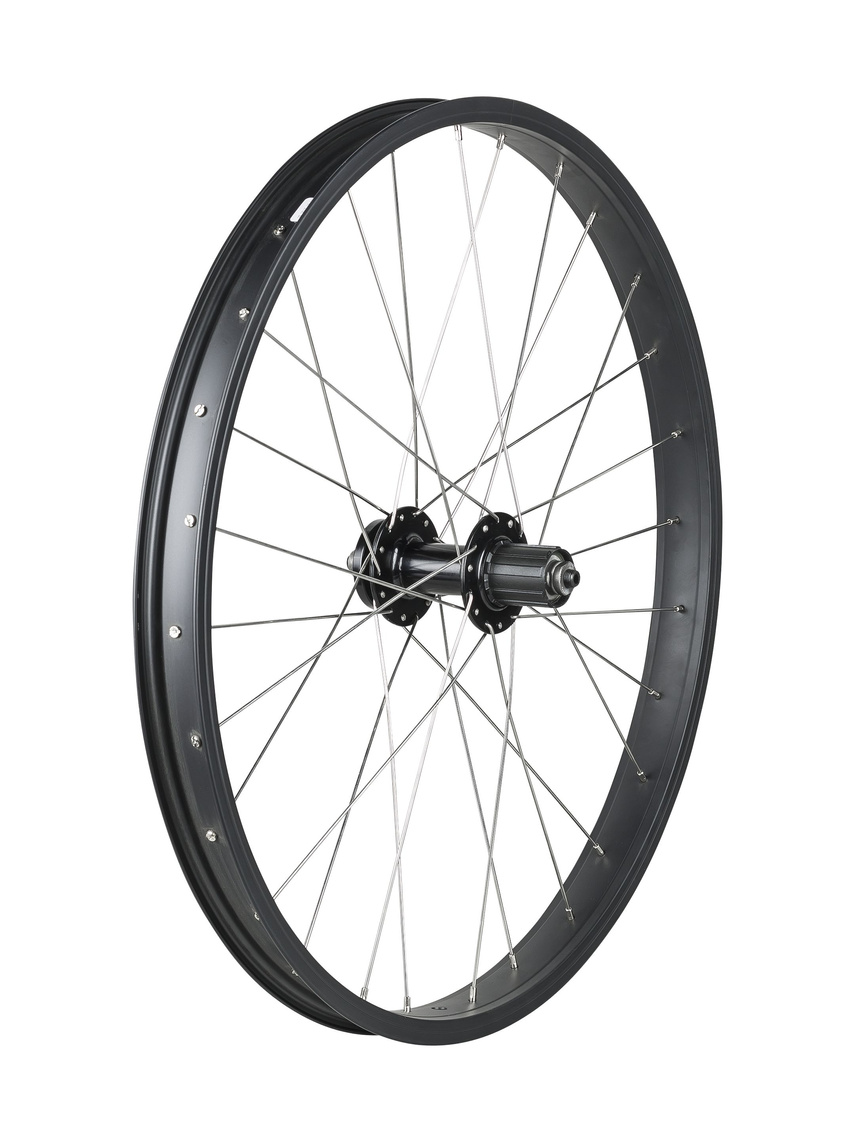 Trek Kids' 28 Hole 24˝ 6-Bolt Disc Wheel
