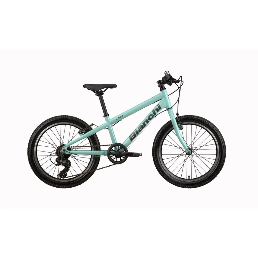 Rower Bianchi  20'' XR20.1 1SP SHIMANO   CK16 / Graphite / Glossy   