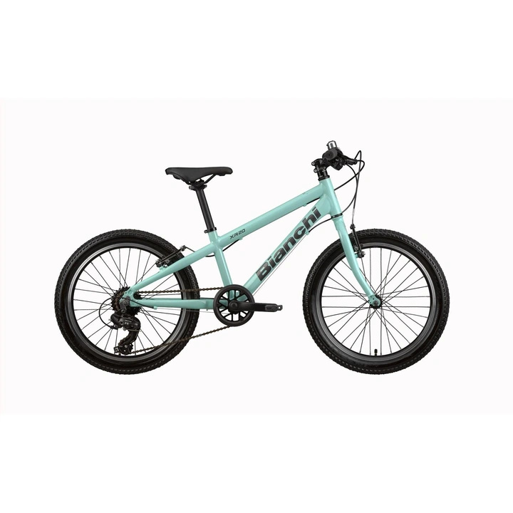 Rower Bianchi  20'' XR20.1 1SP SHIMANO   CK16 / Graphite / Glossy   