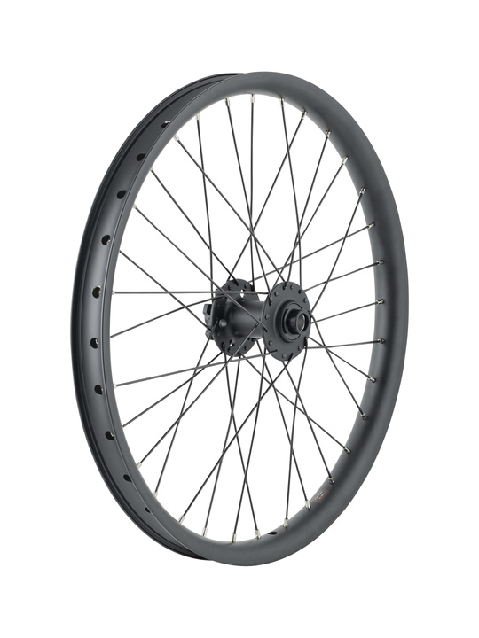 Trek Cargo Bike 6-Bolt Disc 20˝ Wheel