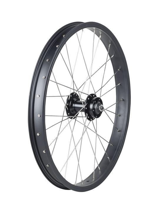 Trek Roscoe Boost 20˝ MTB Wheel